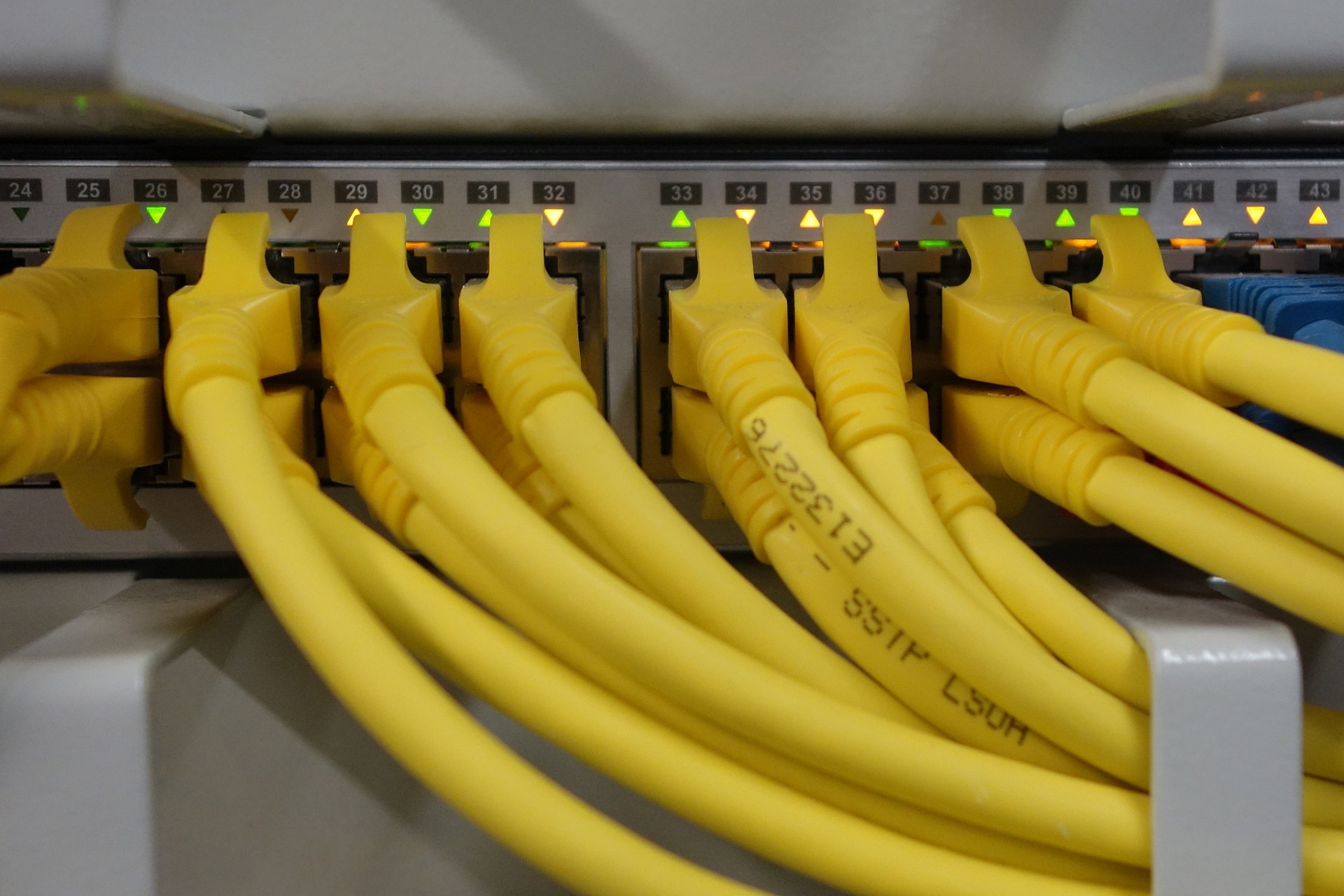 blickpixel-network-cable-499792_1920